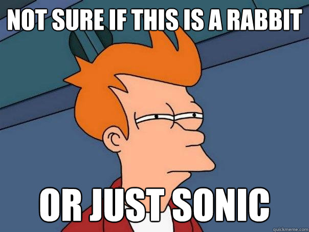 not sure if this is a rabbit Or just sonic  Futurama Fry