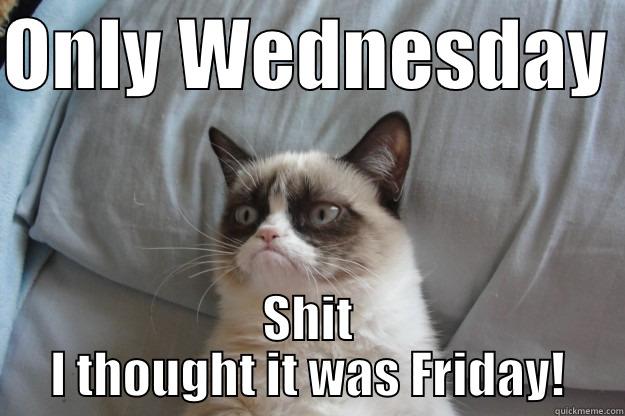ONLY WEDNESDAY  SHIT I THOUGHT IT WAS FRIDAY! Grumpy Cat