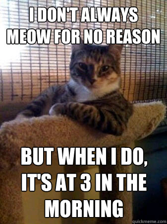 I don't always meow for no reason  But when I do, it's at 3 in the morning  The Most Interesting Cat in the World