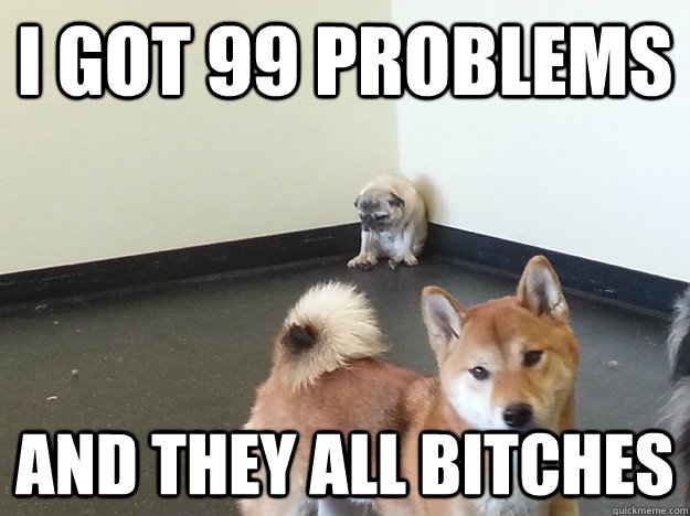 I got 99 problems and they all bitches - I got 99 problems and they all bitches  Misc