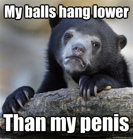 My balls hang lower Than my penis  Confession Bear