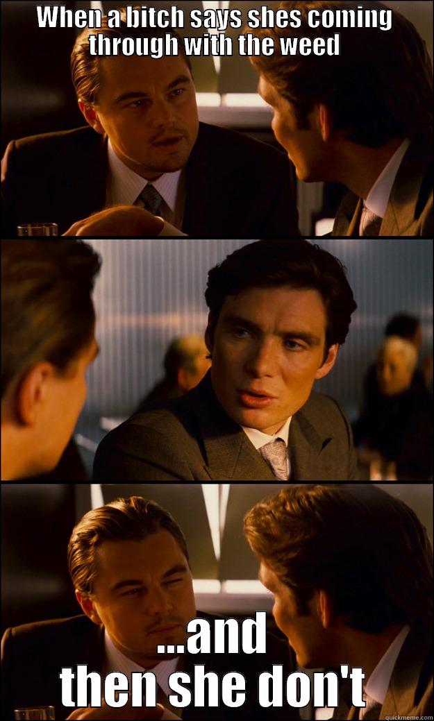 WHEN A BITCH SAYS SHES COMING THROUGH WITH THE WEED ...AND THEN SHE DON'T Inception