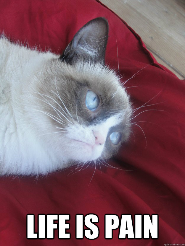  Life is pain  Tard  No