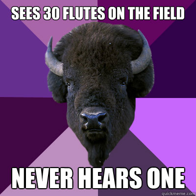 Sees 30 flutes on the field never hears one  Band Buffalo