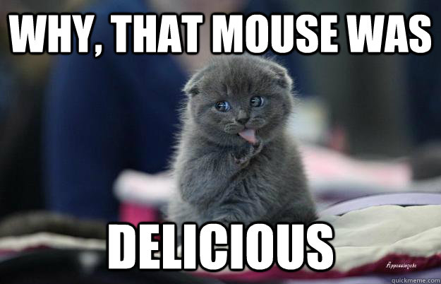 Why, that mouse was  delicious - Why, that mouse was  delicious  Suspiciously Adorable Cat