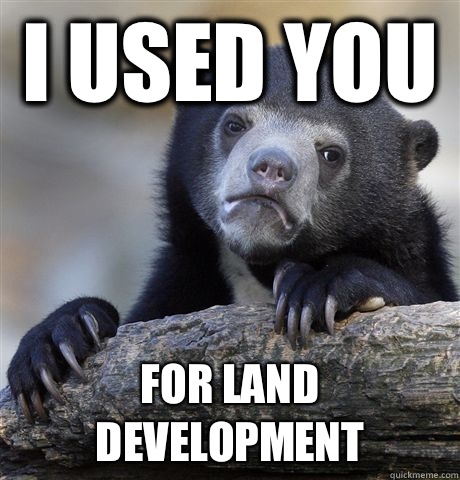 I used you For land development   Confession Bear