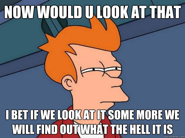 now would u look at that i bet if we look at it some more we will find out what the hell it is   Futurama Fry