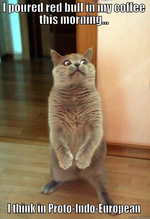 I POURED RED BULL IN MY COFFEE THIS MORNING... I THINK IN PROTO-INDO-EUROPEAN Horrorcat