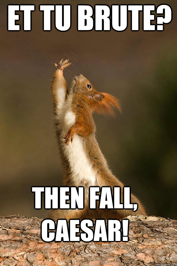 et tu brute? Then fall, Caesar! - et tu brute? Then fall, Caesar!  Shakespeare Squirrel