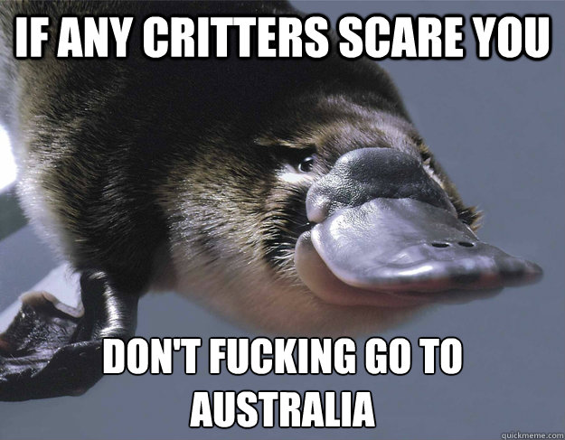 If any critters scare you don't fucking go to Australia   