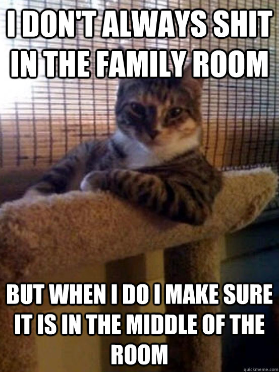 I DON'T ALWAYS SHIT IN THE FAMILY ROOM BUT WHEN I DO I MAKE SURE IT IS IN THE MIDDLE OF THE ROOM  The Most Interesting Cat in the World