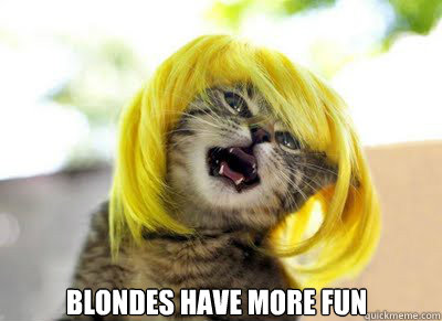 Blondes have more fun - Blondes have more fun  Blonde cat