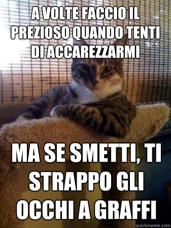 a volte faccio il prezioso quando tenti di accarezzarmi ma se smetti, ti strappo gli occhi a graffi  The Most Interesting Cat in the World