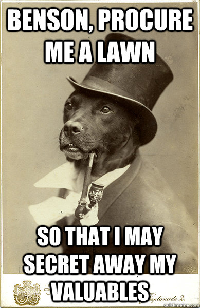 Benson, procure me a lawn so that i may secret away my valuables  Old Money Dog