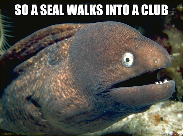 So a seal walks into a club    Bad Joke Eel