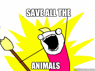 SAVE ALL THE ANIMALS  All The Things