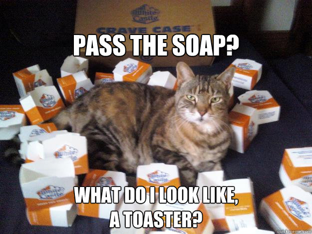 PASS THE SOAP? WHAT DO I LOOK LIKE,
A TOASTER?  