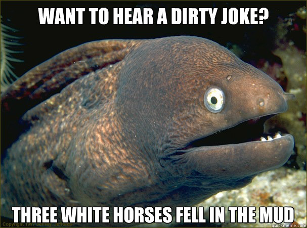 Want to hear a dirty joke? three white horses fell in the mud - Want to hear a dirty joke? three white horses fell in the mud  Bad Joke Eel