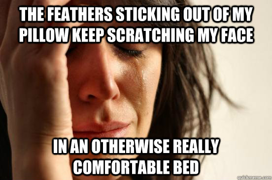The feathers sticking out of my pillow keep scratching my face in an otherwise really comfortable bed  First World Problems