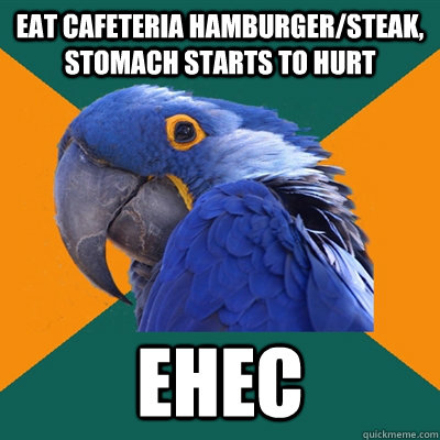 eat cafeteria hamburger/steak, stomach starts to hurt ehec  Paranoid Parrot