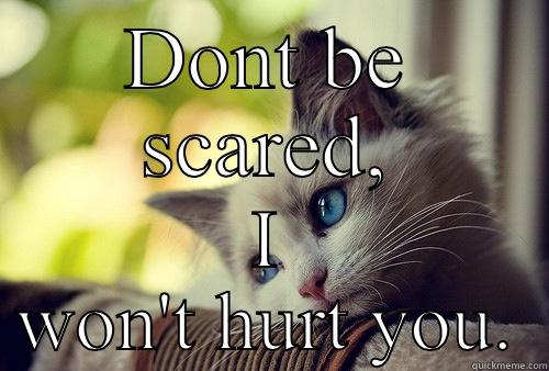 Don't be scared, I won't hurt you - DONT BE SCARED, I WON'T HURT YOU. First World Problems Cat