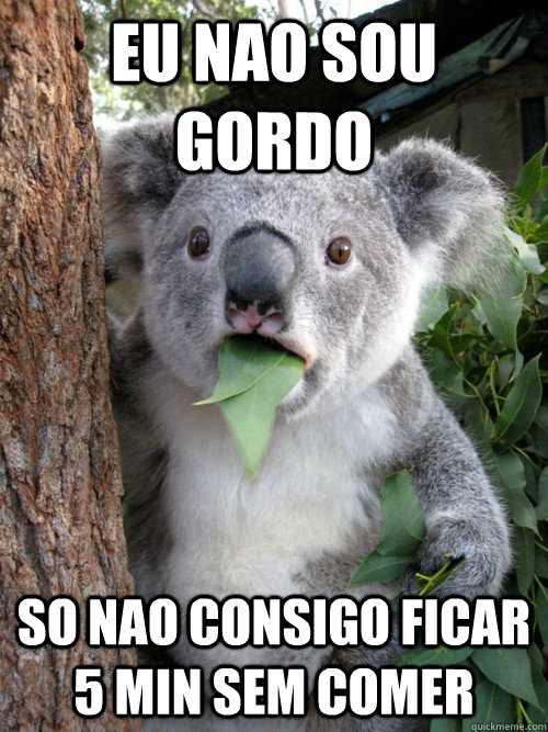 eu nao sou gordo so nao consigo ficar 5 min sem comer  koala bear