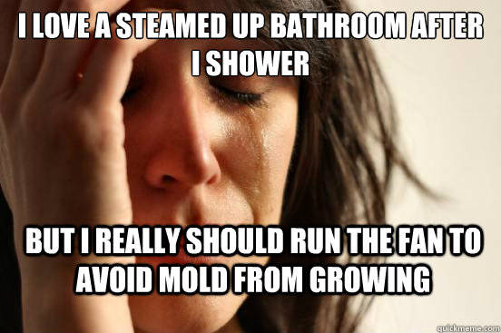 I love a steamed up bathroom after I shower But i really should run the fan to avoid mold from growing  FirstWorldProblems