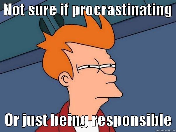 Not sure if procrastinating  -  NOT SURE IF PROCRASTINATING    OR JUST BEING RESPONSIBLE Futurama Fry