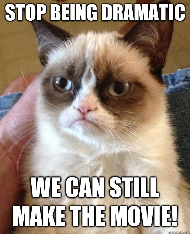 stop being dramatic we can still make the movie!  Grumpy Cat