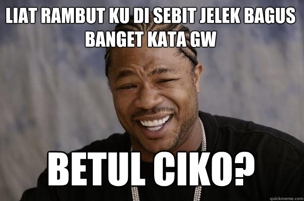 Liat rambut ku di sebit jelek bagus banget kata gw betul Ciko?  Xzibit meme