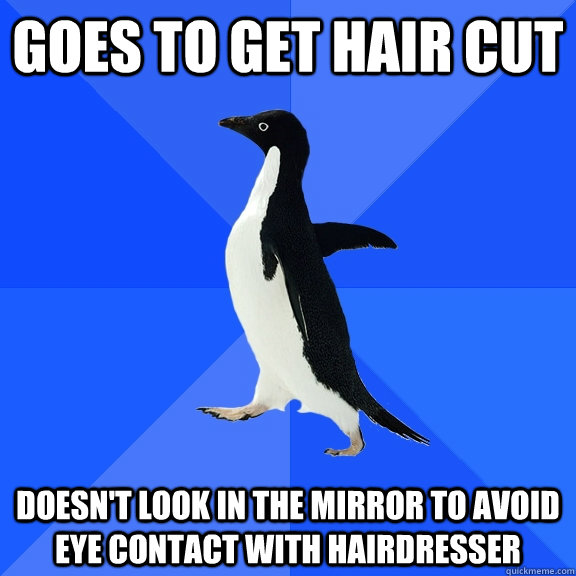 Goes to get hair cut doesn't look in the mirror to avoid eye contact with hairdresser  Socially Awkward Penguin