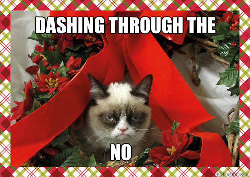 Dashing Through the No  merry christmas