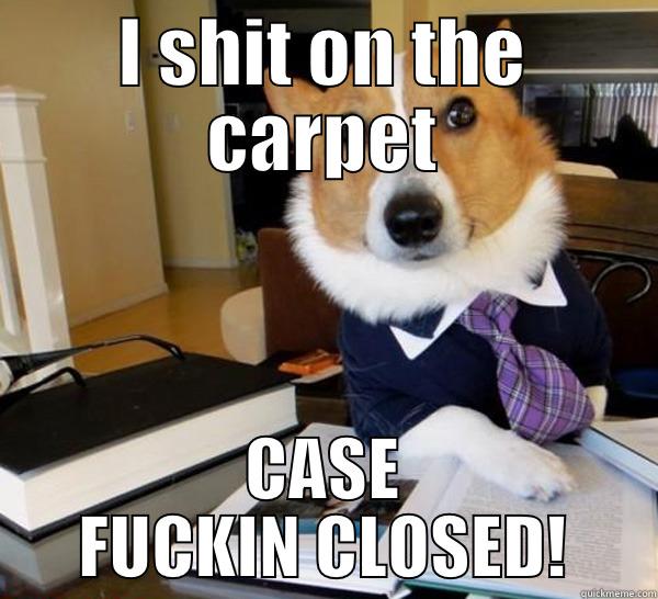 I SHIT ON THE CARPET CASE FUCKIN CLOSED! Lawyer Dog