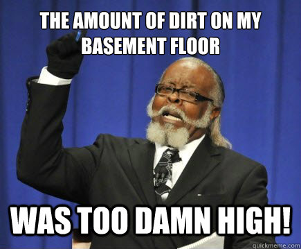 The amount of dirt on my basement floor was too damn high!  Too Damn High