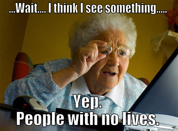 ...WAIT.... I THINK I SEE SOMETHING..... YEP. PEOPLE WITH NO LIVES. Grandma finds the Internet