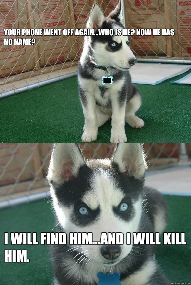 Your phone went off again...who is he? Now he has no name? I will find him...and I will kill him.  Insanity puppy