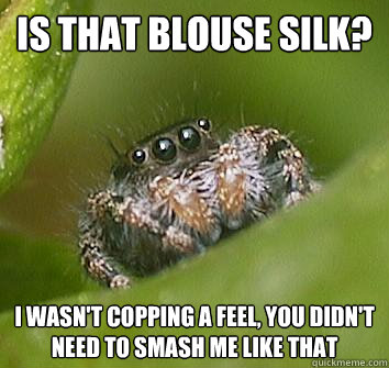 is that blouse silk? i wasn't copping a feel, you didn't need to smash me like that - is that blouse silk? i wasn't copping a feel, you didn't need to smash me like that  Misunderstood Spider