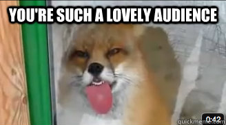 you're such a lovely audience  - you're such a lovely audience   attention fox