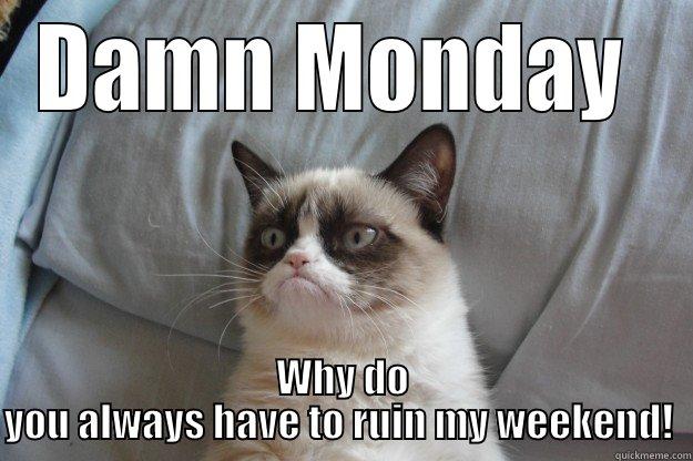 DAMN MONDAY  WHY DO YOU ALWAYS HAVE TO RUIN MY WEEKEND!  Grumpy Cat