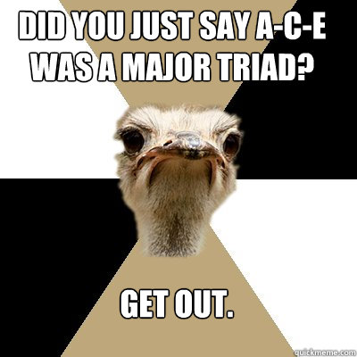 Did you just say A-C-E was a major triad? Get out.  Music Major Ostrich