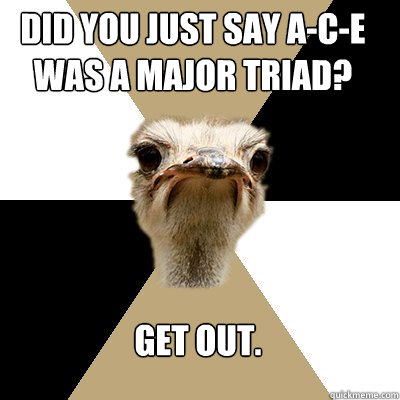 Did you just say A-C-E was a major triad? Get out. - Did you just say A-C-E was a major triad? Get out.  Music Major Ostrich