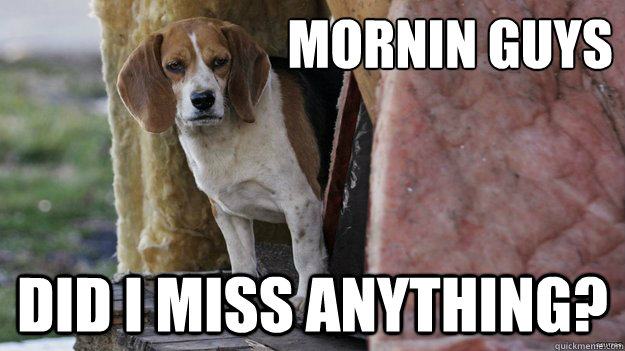 MORNIN GUYS DID I MISS ANYTHING?  Sad Dog