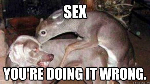 SEX You're doing it wrong.  