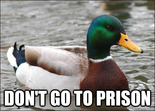 don't go to prison  Actual Advice Mallard