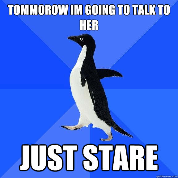 Tommorow im going to talk to her Just stare  Socially Awkward Penguin