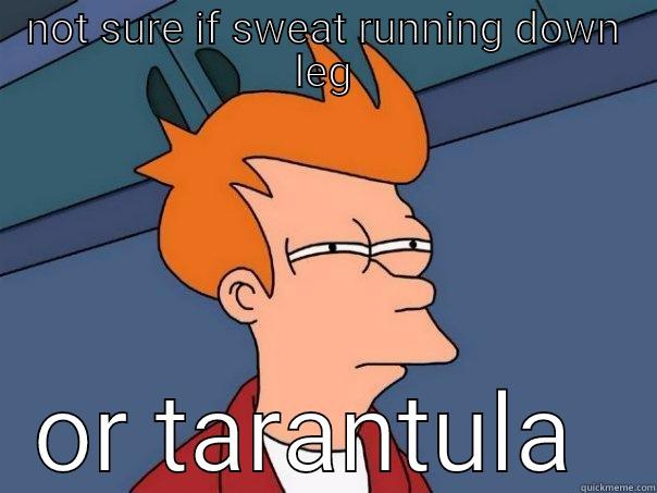 NOT SURE IF SWEAT RUNNING DOWN LEG OR TARANTULA  Futurama Fry