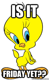 Is it  Friday Yet?? - Is it  Friday Yet??  Tweety Friday
