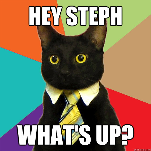 Hey Steph What's up?  Business Cat