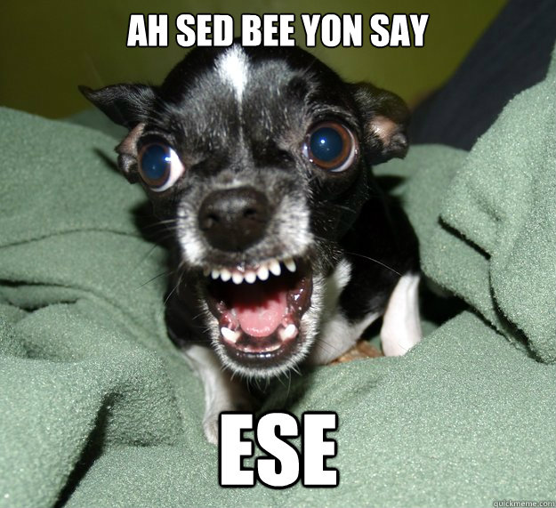Ah sed BEE YON SAY ESE  Chihuahua Logic