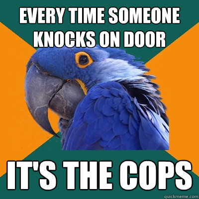every time someone knocks on door it's the cops  Paranoid Parrot